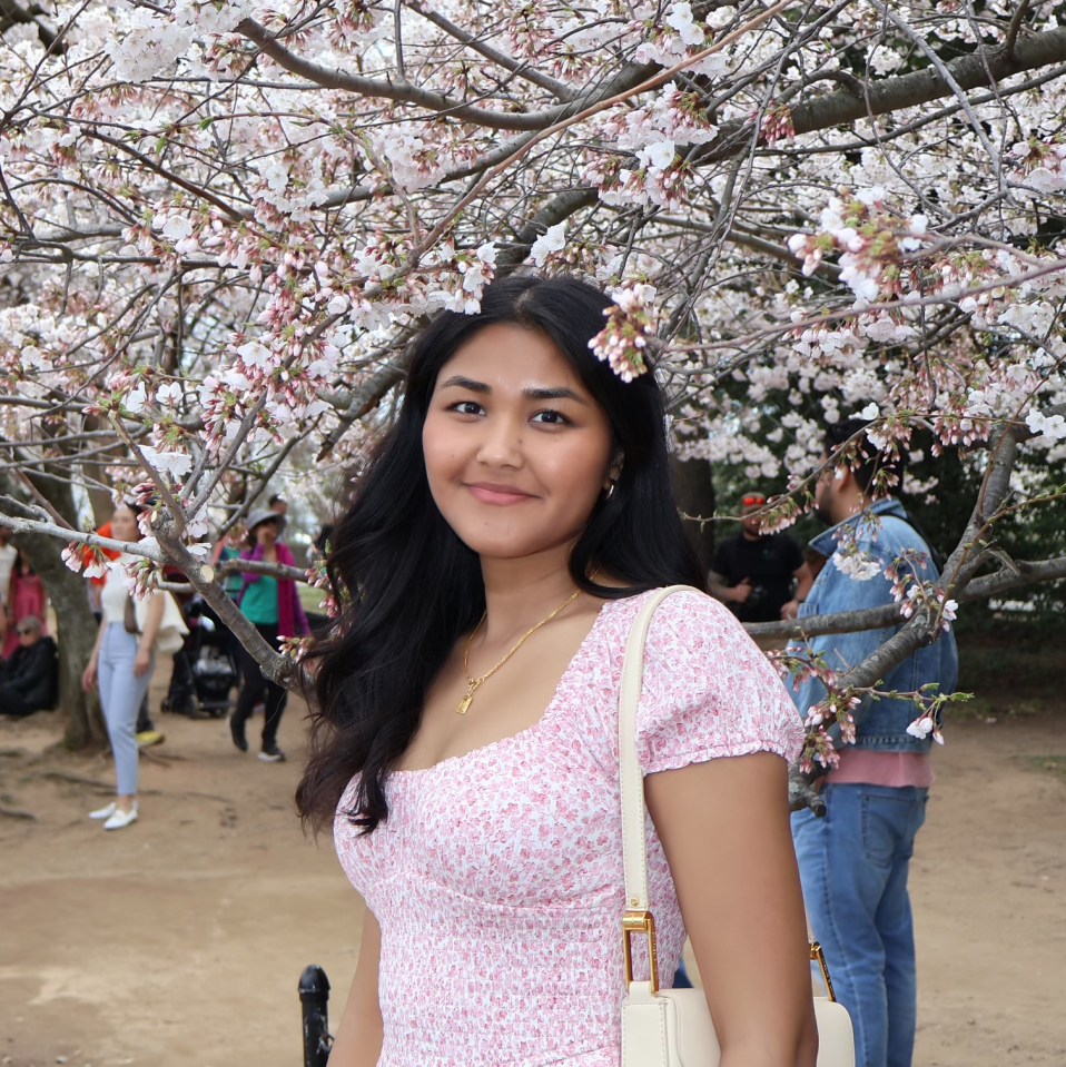 Development Intern Tika Shankar