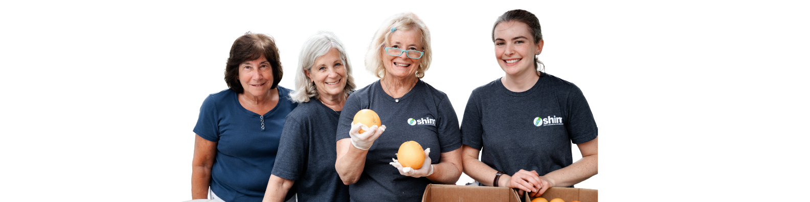 horizontal volunteer graphic horizontal volunteer graphic