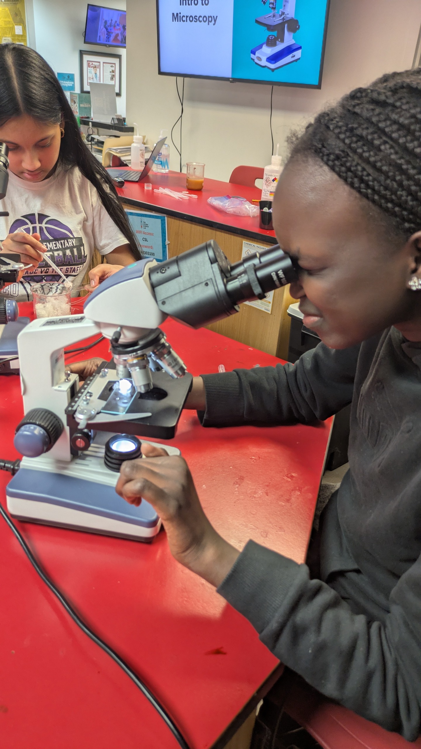 Youth Mentoring student using microscope
